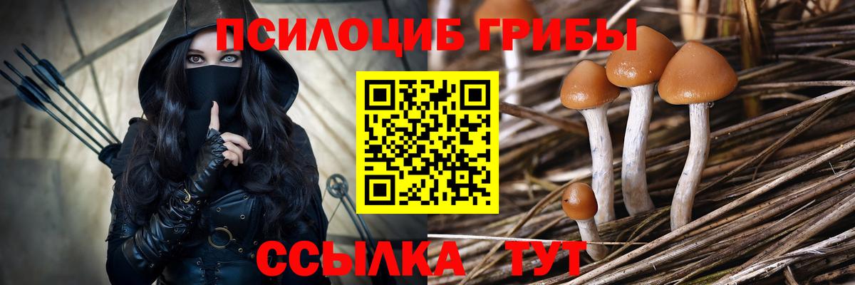 Тольятти  Галлюциногенные грибы Psilocybine cubensis  купить закладку  Вход с VPN 